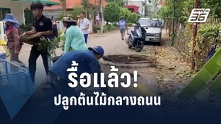 รื้อแล้ว! คนลำพูน ไม่เอาต้นไม้กลางถนน | PPTV Online