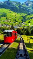 #nature_perfections #nature #natirelovers #natureartist #naturephotography #natureartist #nature_perfections #naturephotography #nature #natirelovers