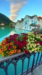 #nature_perfections #nature #natirelovers #natureartist #naturephotography #natureartist #nature_perfections #naturephotography #nature #natirelovers