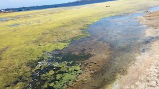 Estado del agua del Mar Menor en el puerto deportivo de Los Urrutias, en un vídeo grabado en abril de 2023
