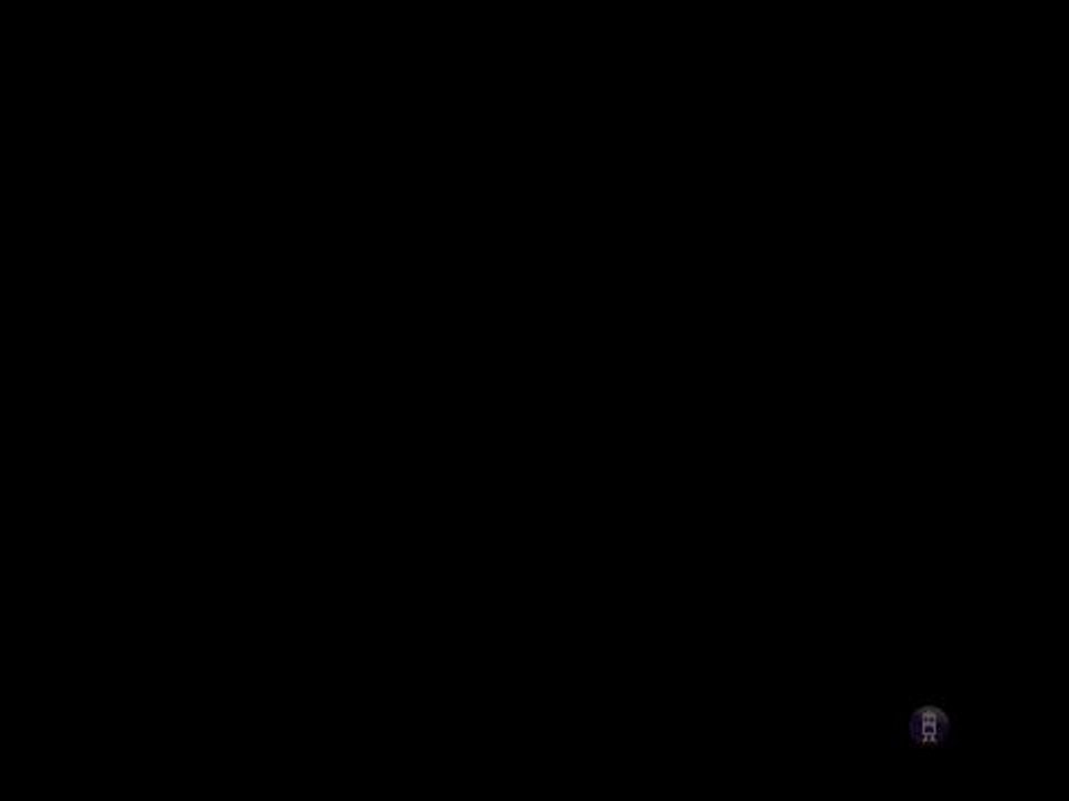 Toys story 2 layout