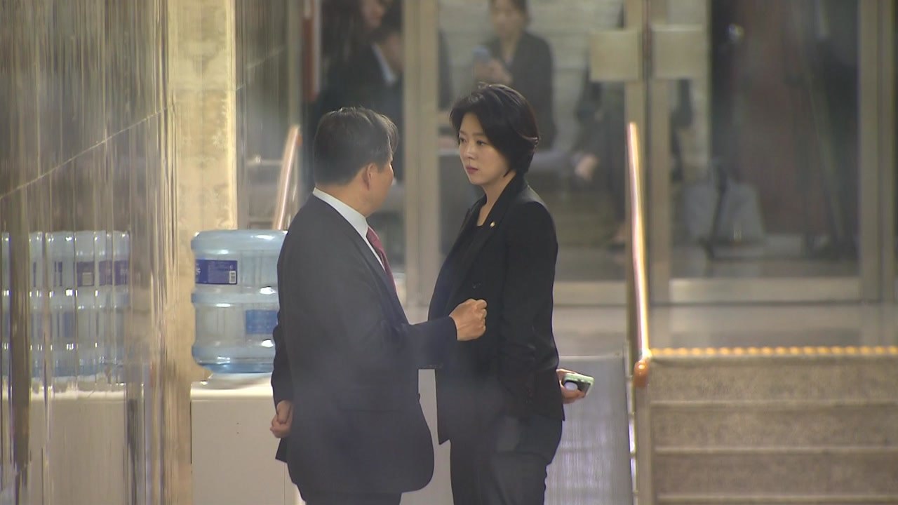 배현진 "이철규에 원내대표 권유 안 해"...녹취 파일 공개 / YTN