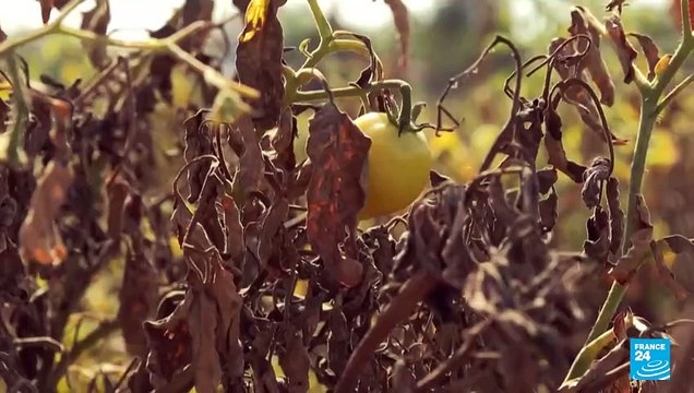 2024, un año de récords de temperatura y fenómenos climáticos extremos