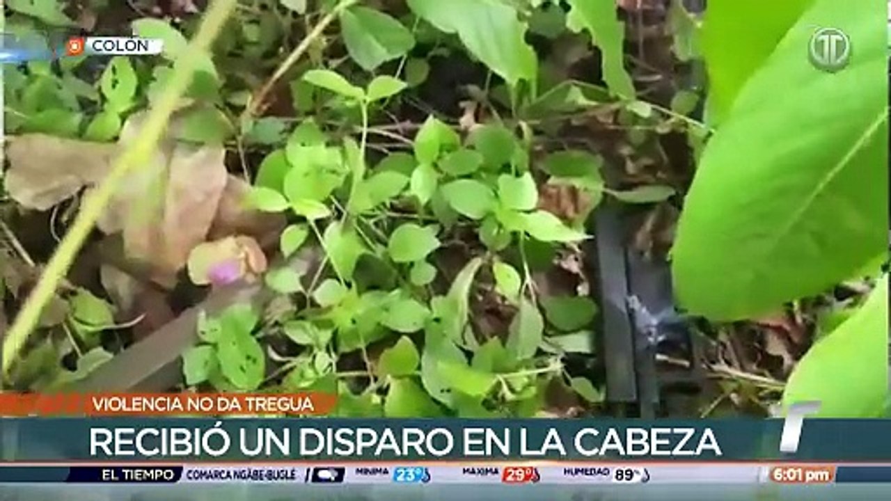 Tres homicidios registrados en Colón en las últimas horas