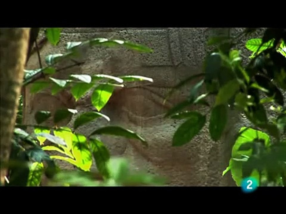 3. Culturas del México antiguo