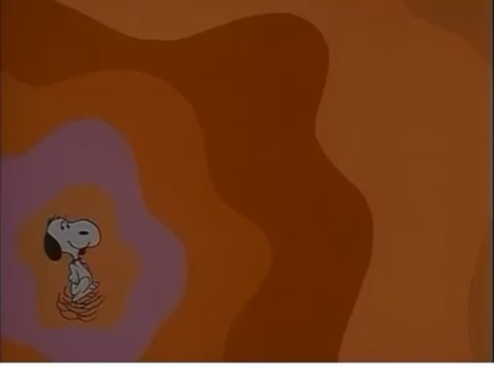 Minha intro