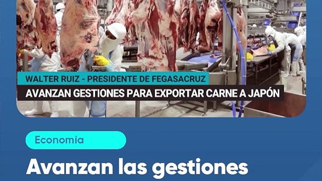 Avanzan las gestiones para exportar carne a Japón