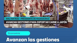 Avanzan las gestiones para exportar carne a Japón