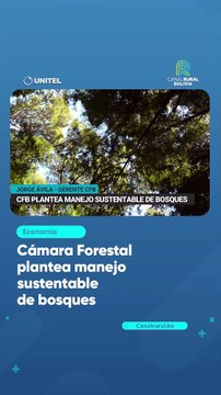 Cámara Forestal plantea manejo sustentable de bosques