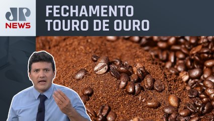 Balanços e gigantes de commodities movem Ibovespa antes de Copom | Fechamento Touro de Ouro