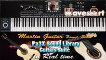 Korg Pa5X Pa4X Pa3X Guitars Suite Sound Library