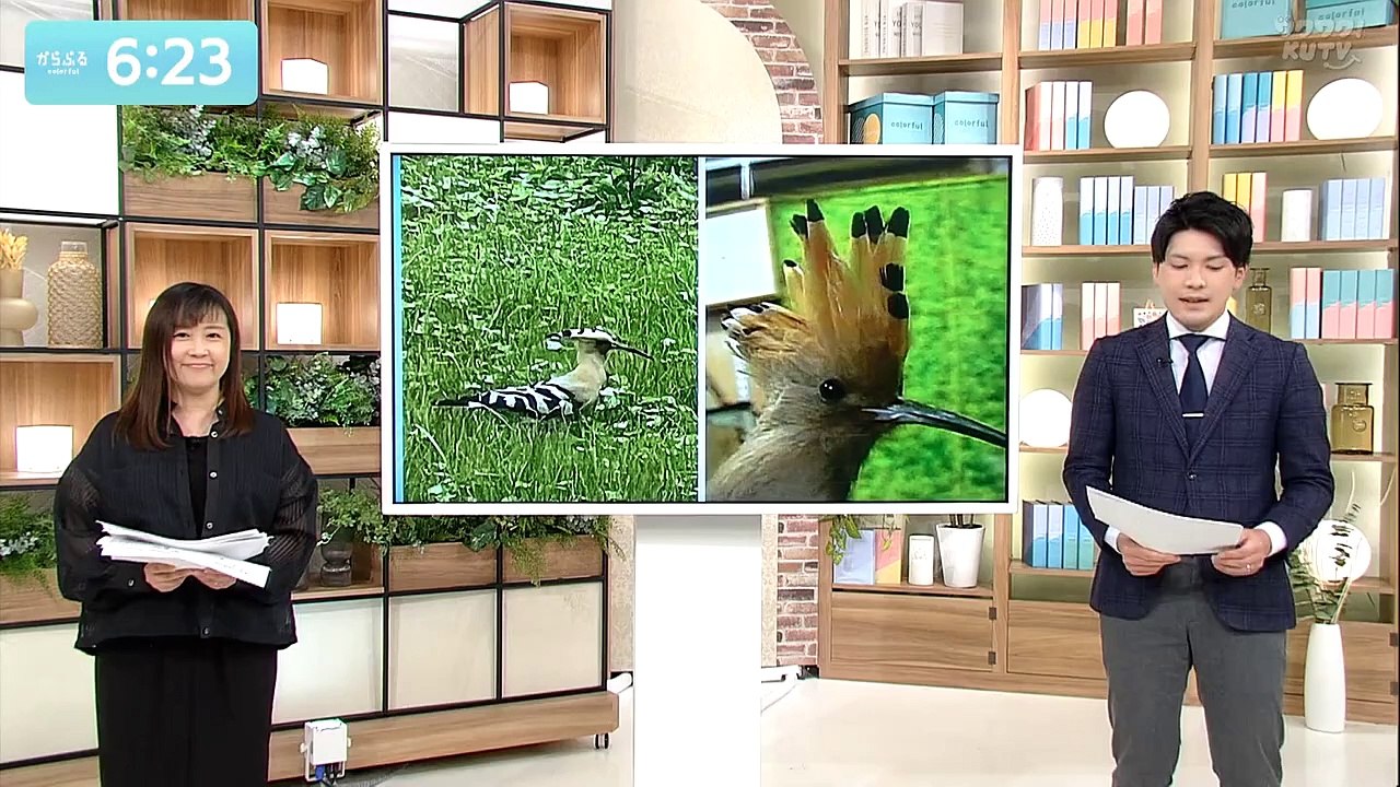 20240508 からふる 川村文乃さん凱旋公演への思い