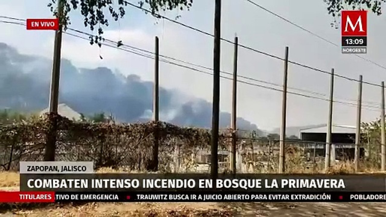 Distintos grupos de rescate combaten un incendio forestal en Jalisco