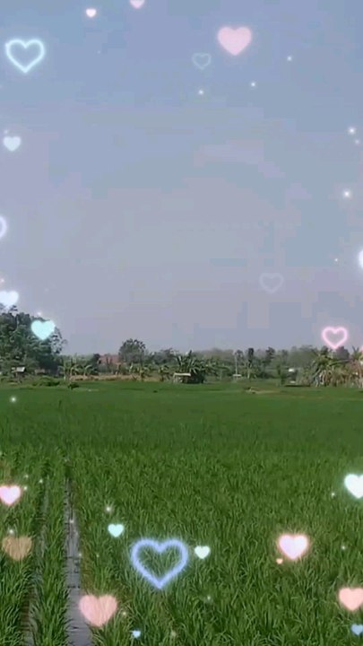 Ciuman Hati