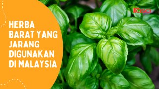 Herba Barat Yang Jarang Digunakan Di Malaysia