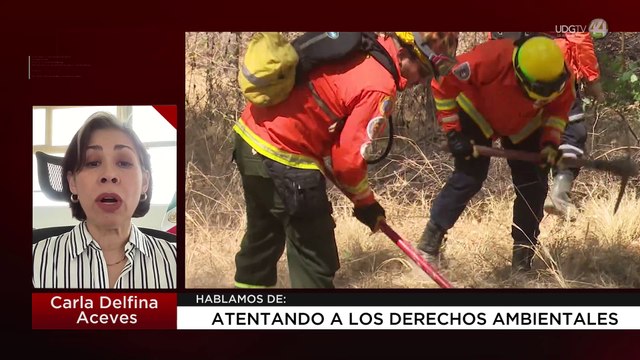 Atentado a los derechos ambientales: Carla Delfina Aceves