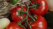 Estos son los 8 beneficios para la salud poco conocidos del tomate