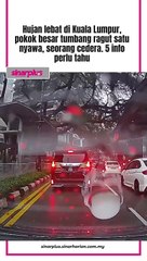 Pokok besar itu juga tumbang menghempap 17 buah kenderaan dan dahannya menghalang laluan landasan monorel