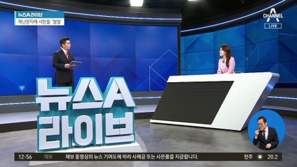 ‘맹견 탈출’ 재난문자…알고 보니 소형견 3마리