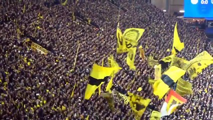 Descargar video: PSG vs Borussia Dortmund 0 x 1 All Goals & Highlights - Champions League 2024