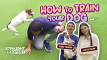 Straight from the Expert: How to Train Your Dog (Part 2)