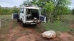 Scientists measure the sands of time to age Shirley the diprotodon fossil