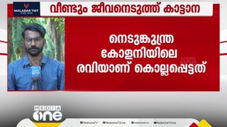 വാൽപ്പാറയിൽ കാട്ടാന ആക്രമണത്തിൽ ഒരാൾ കൊല്ലപ്പെട്ടു