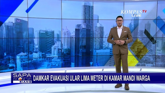Buat Heboh, Ular Piton Sepanjang 5 Meter Masuk ke Kamar Mandi Warga!