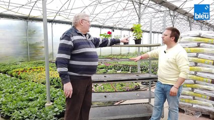 3/5 : conseils pour utiliser moins d'eau avec ses plantes