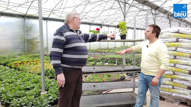 3/5 : conseils pour utiliser moins d'eau avec ses plantes