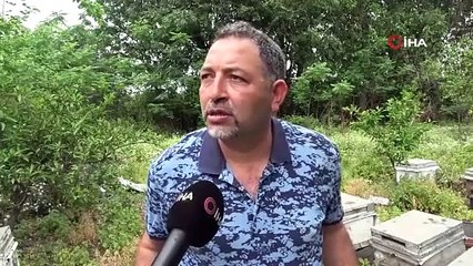 'Arılarım beni tanıyor' diyen arıcı, yaptığıyla binlerce arıya meydan okuyor