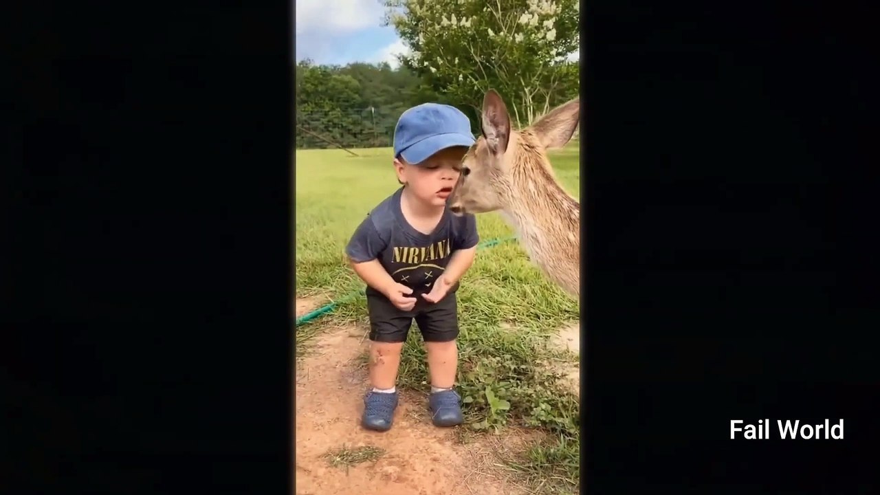 Try not to Laugh Challenge ।। This Year Best Fail Moments Caught on Camera ।। Fail World