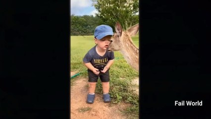 Try not to Laugh Challenge ।। This Year Best Fail Moments Caught on Camera ।। Fail World