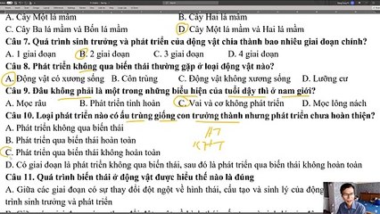 Sinh 11 - CK II Đề 1 2023_2024