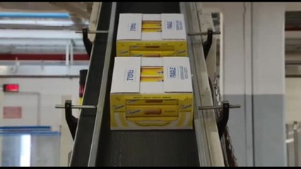 I 30 anni di Barilla a Novara: nello stabilimento di Pavesini e Ringo