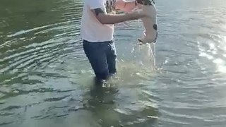 Owner Retrieves Stuck Dog Gone for Swim in Lake