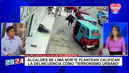 Felipe Castillo: “Es importante tipificar el delito de terrorismo urbano para imponer penas más severas”