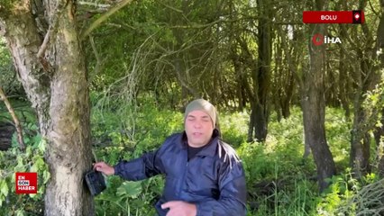 Bolu'da ayının peşine düştü, yuvasında görüntüledi