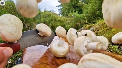 "Creamy Chicken Alfredo Pasta: A Savory Delight"