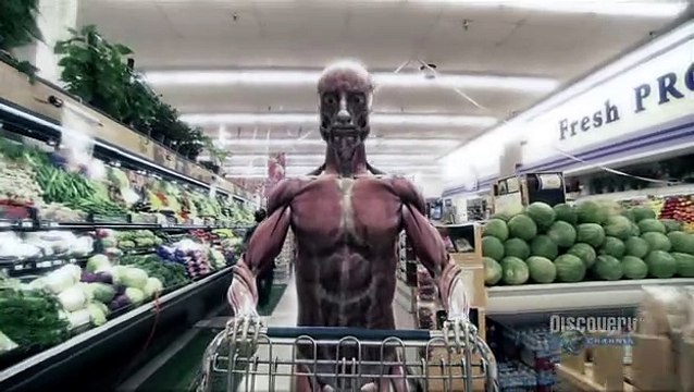 Human Body Pushing the Limits Episode 4: Brain Power