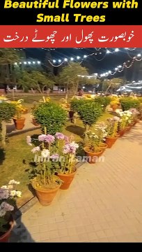 Beautiful Flowers with Small Trees