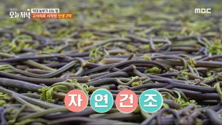 [TASTY]  An essential process that freshly harvested ferns must undergo.,생방송 오늘 저녁 240509