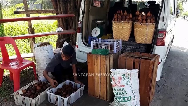 delicious sweet and sour salak fruit indonesian street food