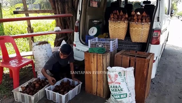 delicious sweet and sour salak fruit indonesian street food
