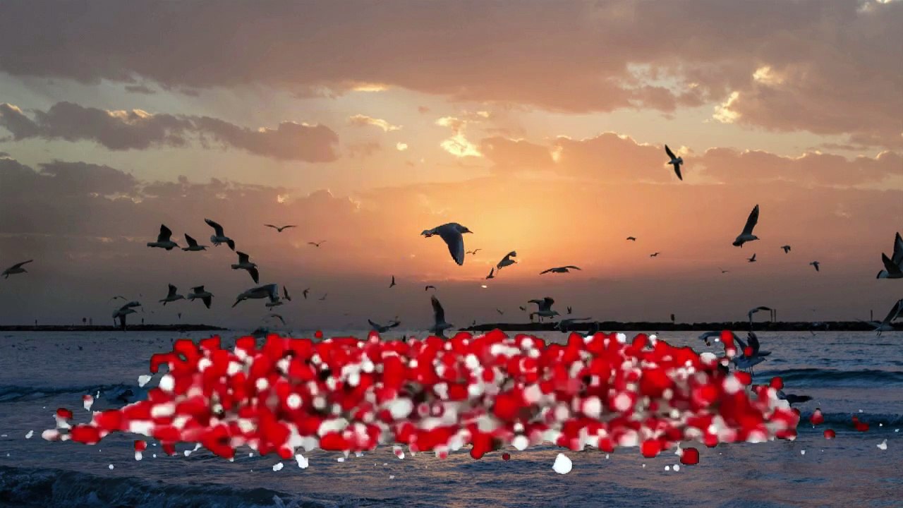 Überlebender des Hamas-Massakers am Nova Festival spricht am Universitätscampus.