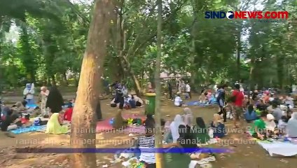 Tải video: Kebun Binatang Ragunan Dibanjiri Pengunjung di Libur Kenaikan Isa Almasih