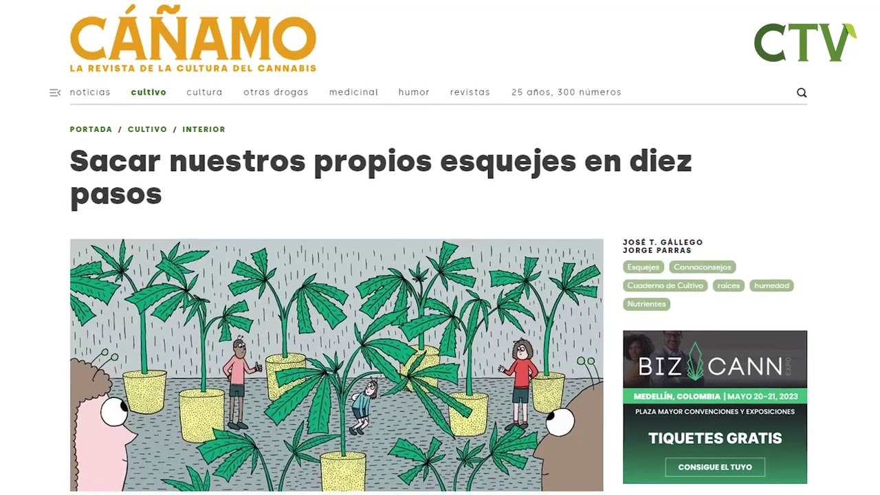 10 pasos para hacer esquejes de cannabis