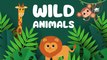 Animals Names For kids and Toddlers | Wild Animals , Farm Animals and Sea Animals | Kids Vocabulary