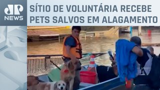 Moradores realizam resgate de animais em Canoas (RS)