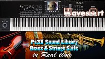 Korg Pa4X-Pa3X Brass & Strings Suite Sound Library